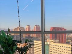 -海底捞火锅(振华广场店)