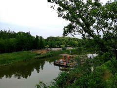 -上海长兴岛郊野公园