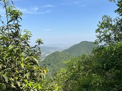 -午潮山国家森林公园