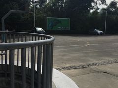 -田心森林公园