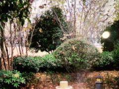 -郑州银基黄帝宫御温泉