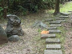 -南京市江宁方山