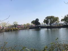 -无锡蠡湖国家湿地公园-蠡园