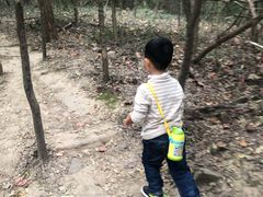 -紫金山山顶公园
