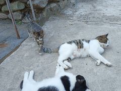 -蟠龙山长城景区