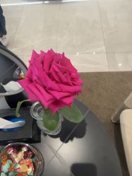 -星和深湾荟医疗美容