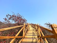 -南窖乡水峪村山情农家