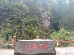 -望天鹅景区