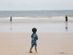 -日照海滨国家森林公园