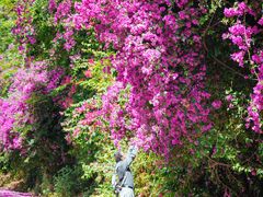 -云南师范大学(一二一西南联大校区)