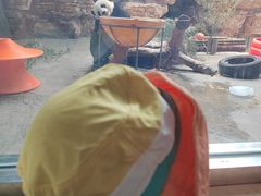 -石家庄市动物园