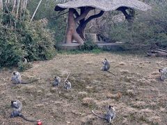 -宁波野生动物园