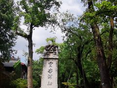 -灵谷景区