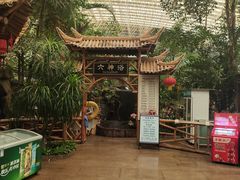 -龙脉温泉室内游泳馆