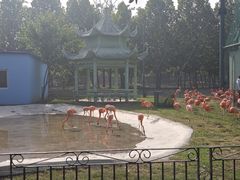 -秦皇岛野生动物园