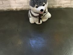 -菩提树·素食餐厅(汇智国际商业中心店)