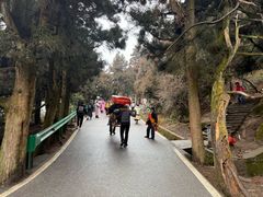 -南岳衡山风景名胜区