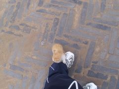 DSCI3236-榆次老城