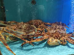 -阿伟海鲜楼·福建菜(延寿店)
