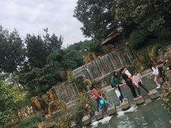 -成飞公园