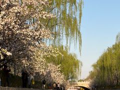 -元大都城垣遗址公园