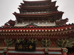 -合江楼