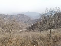-大岭沟猕猴桃谷风景区