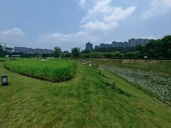 -广西壮族自治区药用植物园