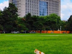 -东北大学(南湖校区)