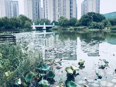 -新江湾城公园