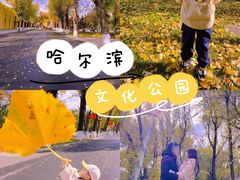 -哈尔滨文化公园