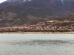 -雅鲁藏布江
