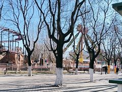 -朝阳公园游乐园