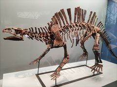 -湖南省地质博物馆