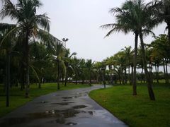 -万绿园