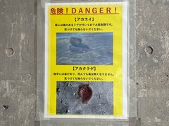 -台场海滨公园船码头