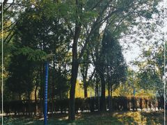 -森林公园(尖草坪区)