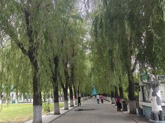 -哈尔滨文化公园