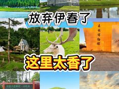 -汤旺河林海奇石景区