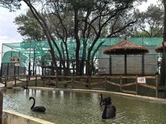 -南戴河国际娱乐中心