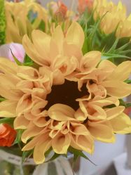 -Oasis Beauty水磨坊科技美肤中心