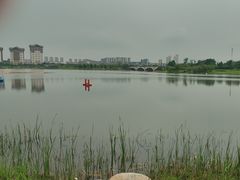 -九龙湖公园