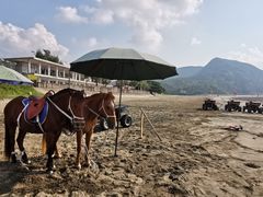 -台山黑沙湾海浴场