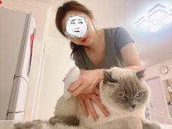 -崇尚GAVIN STYLE