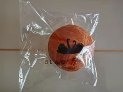 -BLACKSWAN黑天鹅(环球店)