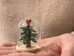 -中8楼风尚云南菜(颐堤港店)