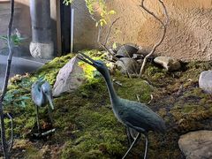-觀芷隐轩