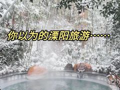 -紫藤园·天目湖大鱼头(南山竹海店)