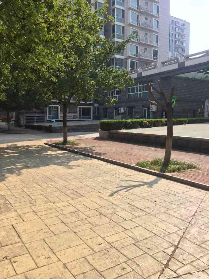 万柳星标家园西区-"路过路过路过路过路过路过路过路过路过.