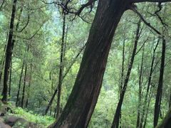 -泰山风景名胜区